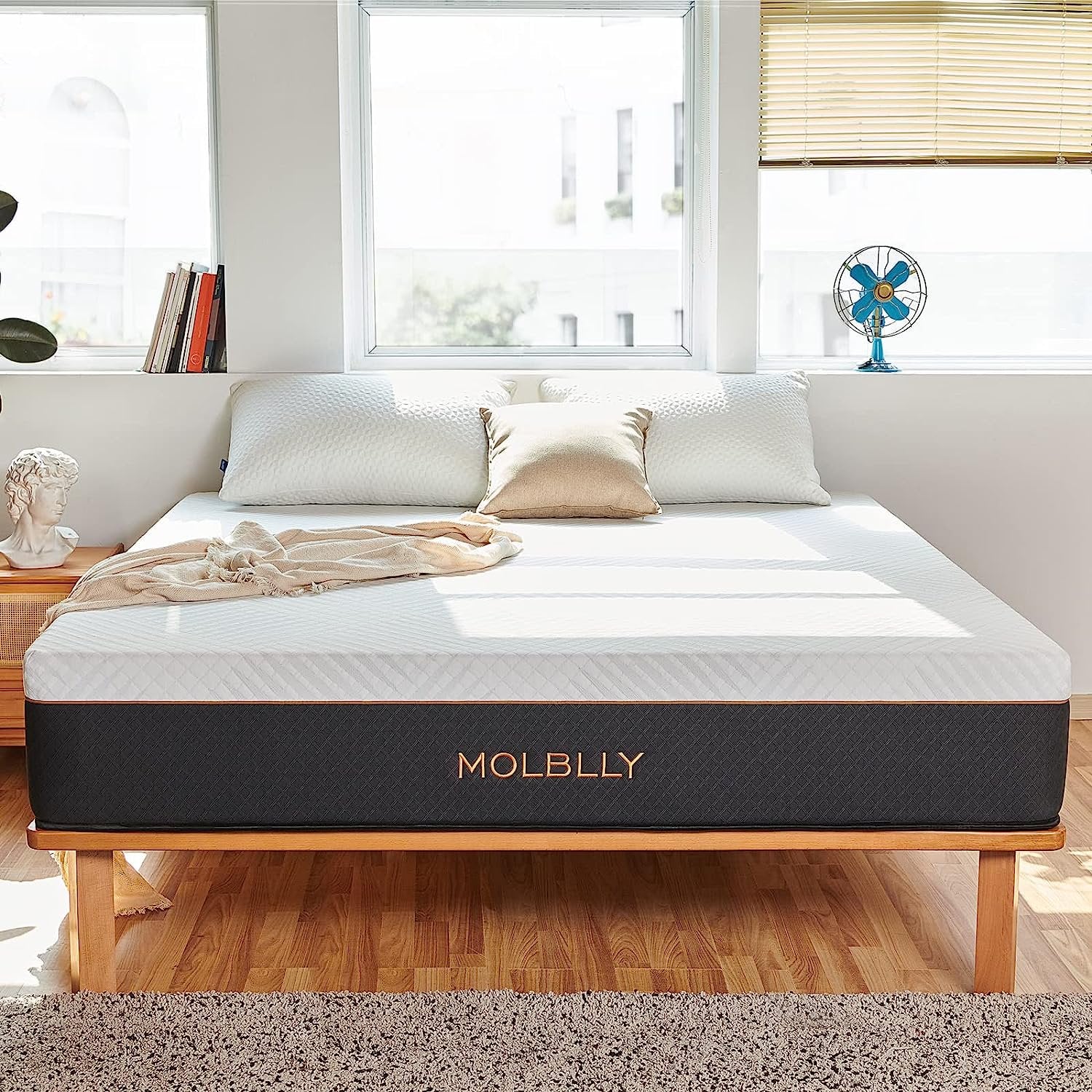 SUGIFT 12-Inch Hybrid Mattress with Individual Pocket Springs and Foam