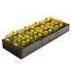Outdoor Plastic Raised Garden Bed Set For Vegetable and Flower with Optional Setup Shapes