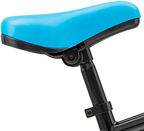 Youth Nitrus BMX Bike Gloss Black