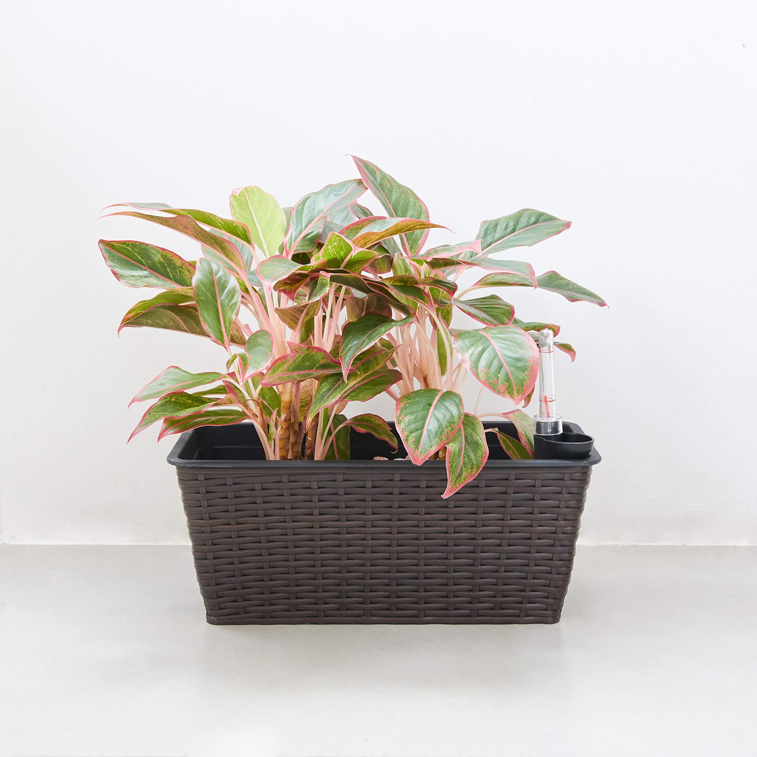 SUGIFT 23 Inches Thin Rectangular Smart Self-Watering Planter