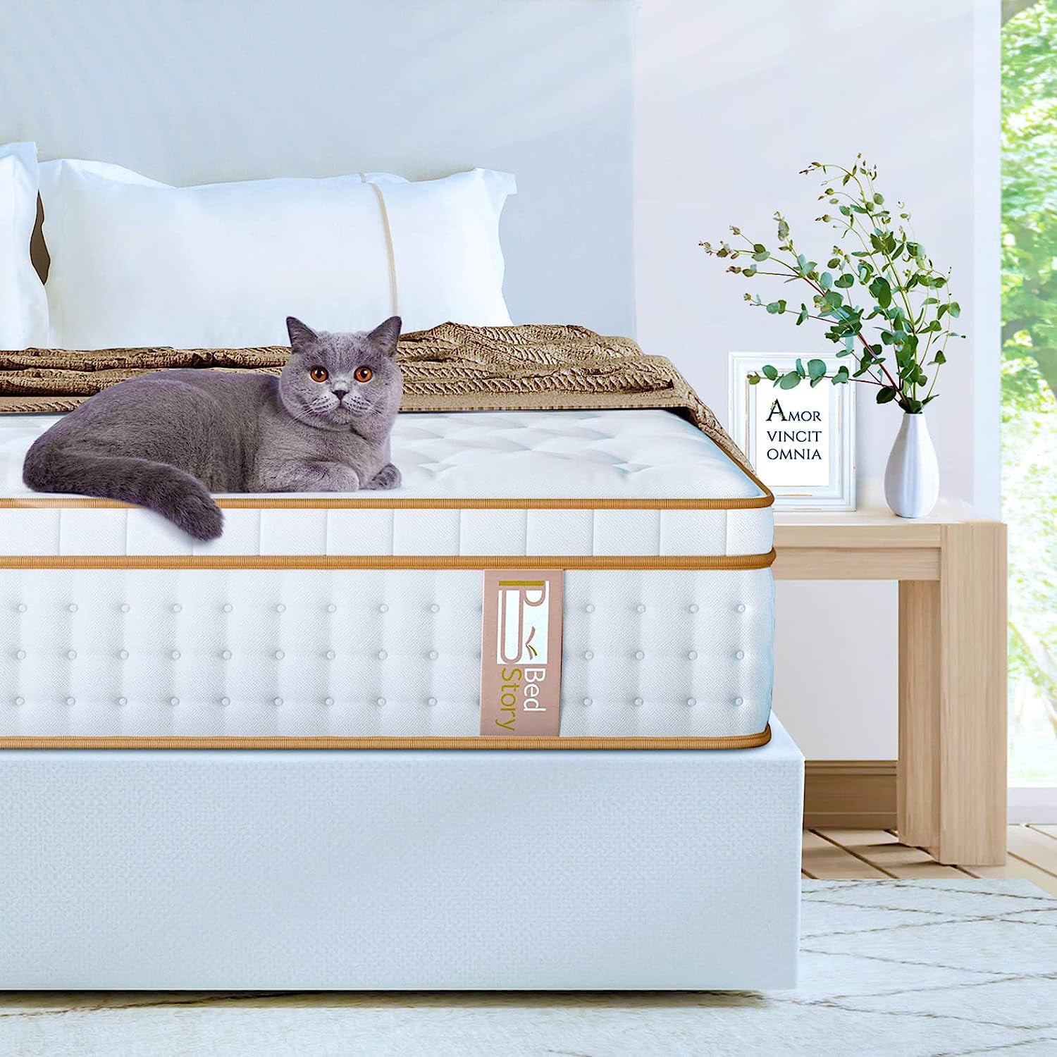 SUGIFT 12 Inch Gel Memory Foam Hybrid Mattress in a Box
