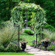81 in. x 20.5 in. Metal Outdoor Garden Arch Arbor for Various Climbing Plant and Wedding Rose